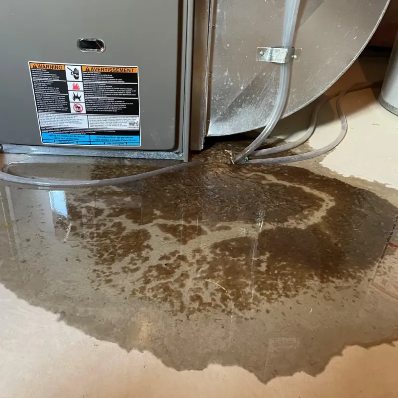 Appliance Leak Cleanup in Danville, KY