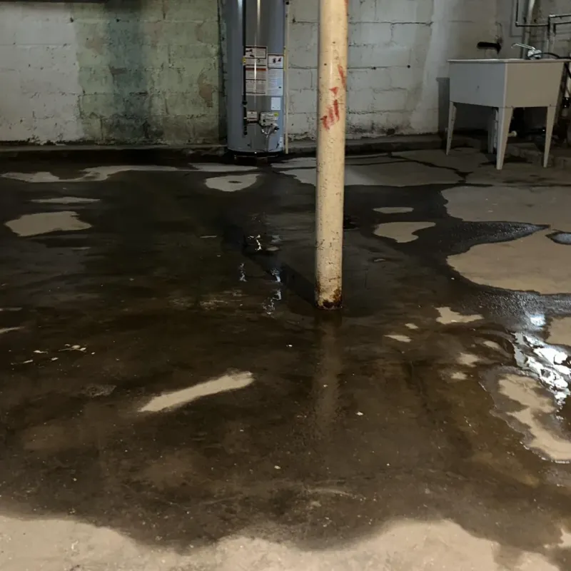 Emergency Water Extraction And Removal in Danville, KY